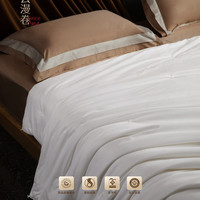 蚕花娘娘 蚕丝被100桑蚕丝春秋子母被冬被丝棉被芯被子加厚保暖