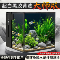 坤宁王 鱼缸背滤一体缸自循环免换水超白玻璃家用小型缸造景生态缸40*30
