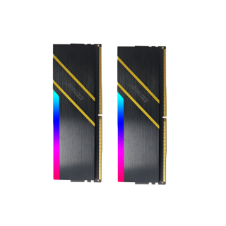 储奇 低时序 台式机内存条套装 哪吒灯条DDR5 6000 海力士Adie 单面CL28