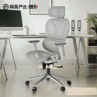 今日必买：网易严选 小蛮腰系列 S9 Pro人体工学电脑椅 灰色 带搁脚款