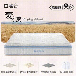 梦神 乳胶竹炭海绵独袋弹簧床垫  白噪音麦浪  软硬适中/20cm 150*200cm