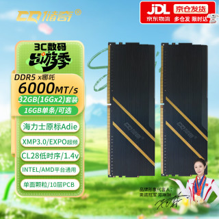 储奇 DDR5 6000 海力士Adie CL28低时序 美光颗粒 32GB 16Gx2