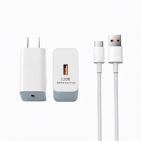 艾勒丝汀 120W充电套装（6A1米快充线 ）