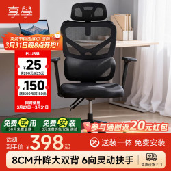 享学 LS-1撑腰电脑椅人体工学椅电竞椅久坐家用办公椅座椅 黑色海绵款