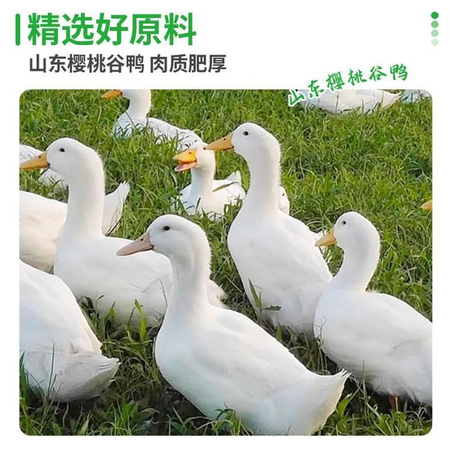 六和 10斤去皮鸭胸肉鸭脯肉鸭大胸肉干食材自制袋装家用冷冻胸脯