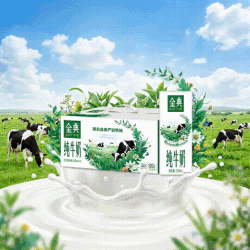 金典 3.6g蛋白+120mg高钙 纯牛奶 250ml*24盒*2箱 3.6g蛋白质