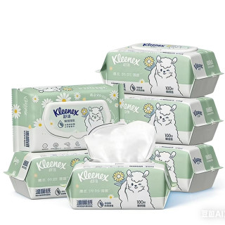 舒洁 植物双萃 湿厕纸 100抽*6包