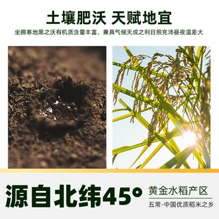 十月稻田 稻花香2号 特等五常大米 5kg