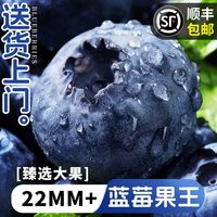 百亿补贴：沃耶 云南蓝莓 22mm+ 特大果 新鲜水果