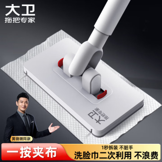 大卫 平板拖把16cm杆长95cm 1秒拆卸不脏手