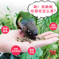 开元 火麻仁鹦鹉零食麻子火麻籽鸟食饲料鹦鹉粮小太阳虎皮牡丹玄凤油料