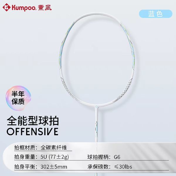 今日必买：薰风 全碳素纤维超轻耐打 羽毛球拍