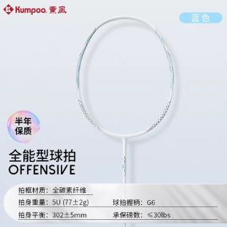 薰风 全碳素纤维超轻耐打 羽毛球拍