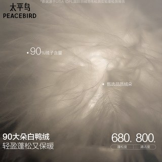 PEACEBIRD/太平鸟 保暖 男士夹克羽绒服