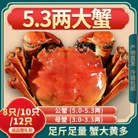  闻兴 鲜活 大闸蟹