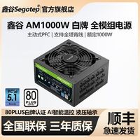 百亿补贴：鑫谷 AM1000W黑色PCIE5.1白牌全模组静音温控电脑电源