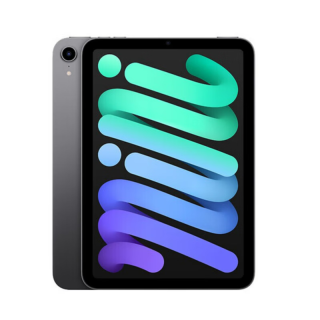Apple iPad mini6 平板电脑8.3英寸 深空灰 64GB 蜂窝版 海外版