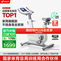 麦瑞克 动感单车家用智能自发电器材室内自行车绝影ONE2代 MR-S10W4 2代Pro版-12KG超感强磁控-自发电