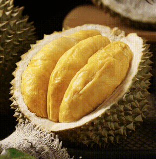 绝！鲜猫山王的苦甜体验谁懂：京鲜生 泰国猫山王榴莲 净重7-8斤（2-3粒）