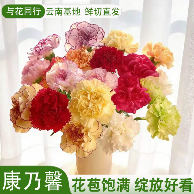 与花同行 康乃馨10枝 随机单色
