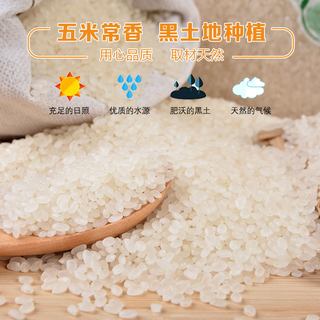 五米常香 东北大米 稻香贡米 粳米