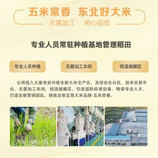 五米常香 东北大米 稻香贡米 粳米