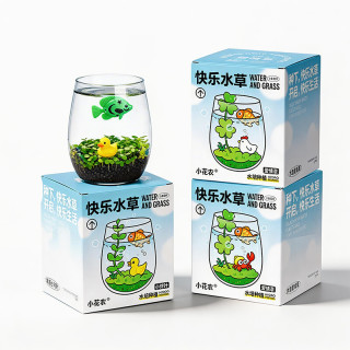 小花农 小清新种植 水培植物+小鱼+小鸡