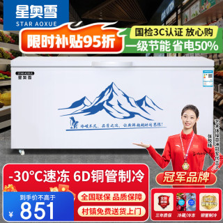星奥雪 冰柜商用大容量卧式冷柜双温家用冷藏冷冻柜