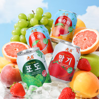 九日 多口味组合 果汁饮料  238ml×10罐 2380ml 包装