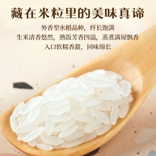 十月稻田 甄选稻香米 东北大米 5kg 真空装