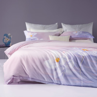 今日必买：百丽丝 60支长绒棉 100%纯棉高支高密四件套