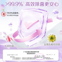  Liby/立白 除菌率99% 内衣皂套装 【6块】内衣皂101g*4块+椰油透明皂101g*2块