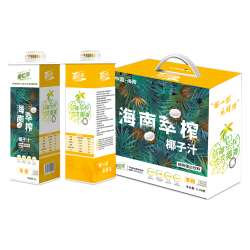 椰绘萃 海南萃榨椰子汁1L*6瓶 鲜椰萃榨  家庭装礼盒聚餐产自海南