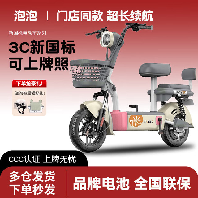 电动自行车 48V20AH天能电池
