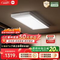 米家 智能晾衣机2 Pro 电动晾衣架3D曲面穹顶灯超薄隐形遥控升降小米 2pro