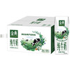 金典 纯牛奶250ml*16盒带提手礼盒送礼 新老包装混发