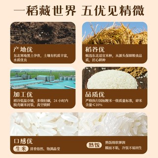 十月稻田 甄选稻香米 东北大米 5kg 真空装