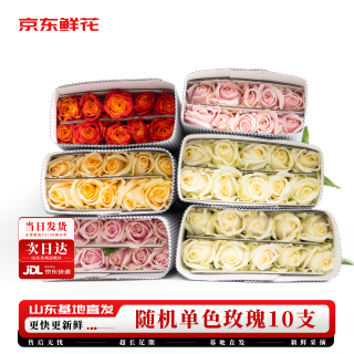 京东鲜花 源头直发 玫瑰鲜切花
