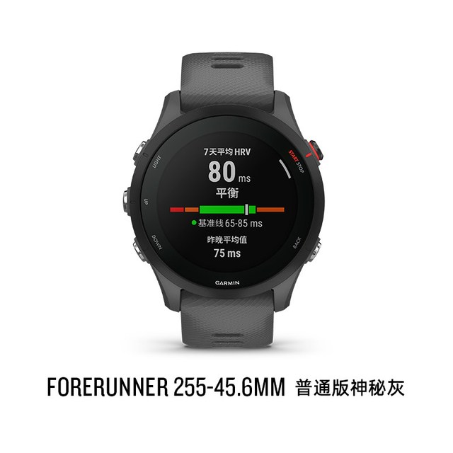 移动端：佳明 Forerunner 255 运动智能心率表 神秘灰 45.6mm