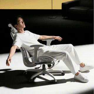 今日必买：网易严选 小蛮腰S9Pro+全能款人体工学电脑椅 有脚托（6向动捕腰靠+360扶手+3倍植绒+静音轮）