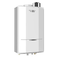 A.O.SMITH 16升 平衡式天然气 热水器 JSG31-CX【限广东部分城市】