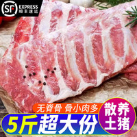  美人觉醒 农家土猪肉 猪排骨 精选中段5斤净重纯肋排多肉款