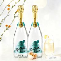 凯斯蒂隆 苹果味气泡酒 3.8度 750mL 2瓶