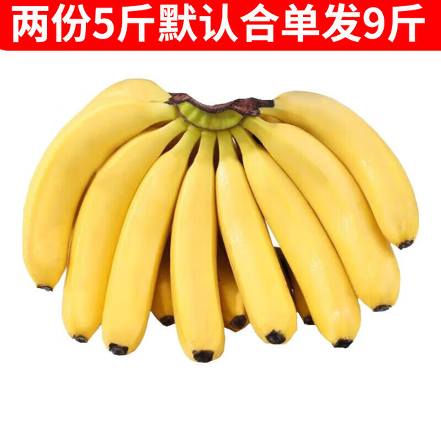 静益乐源 云南大香蕉  5斤