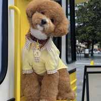 adidas 三叶草儿童通用短袖LF0383