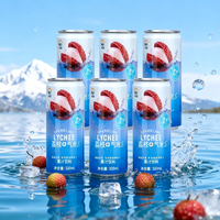 九日 越南进口果肉果汁气泡荔枝味饮料 320ml*6罐组合装