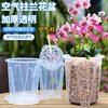  趣植园艺 镂空透明 蝴蝶兰控根盆