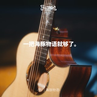  Trumon 全单板 民谣吉他 拾音器