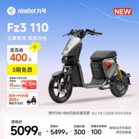 九号 FZ3 110 电动自行车 门店自提