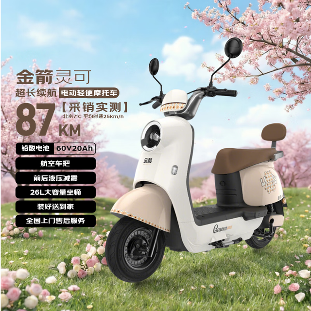 京东百亿补贴：金箭 灵可 电动轻便摩托车 60V20AH